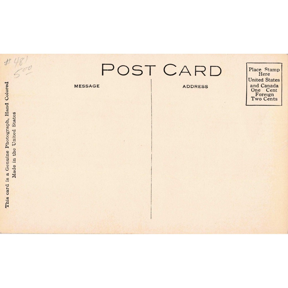 Vintage Ready For Anything Baby Straw Hat Hand Colored Photo Postcard W-24 USA - Picture 2 of 2